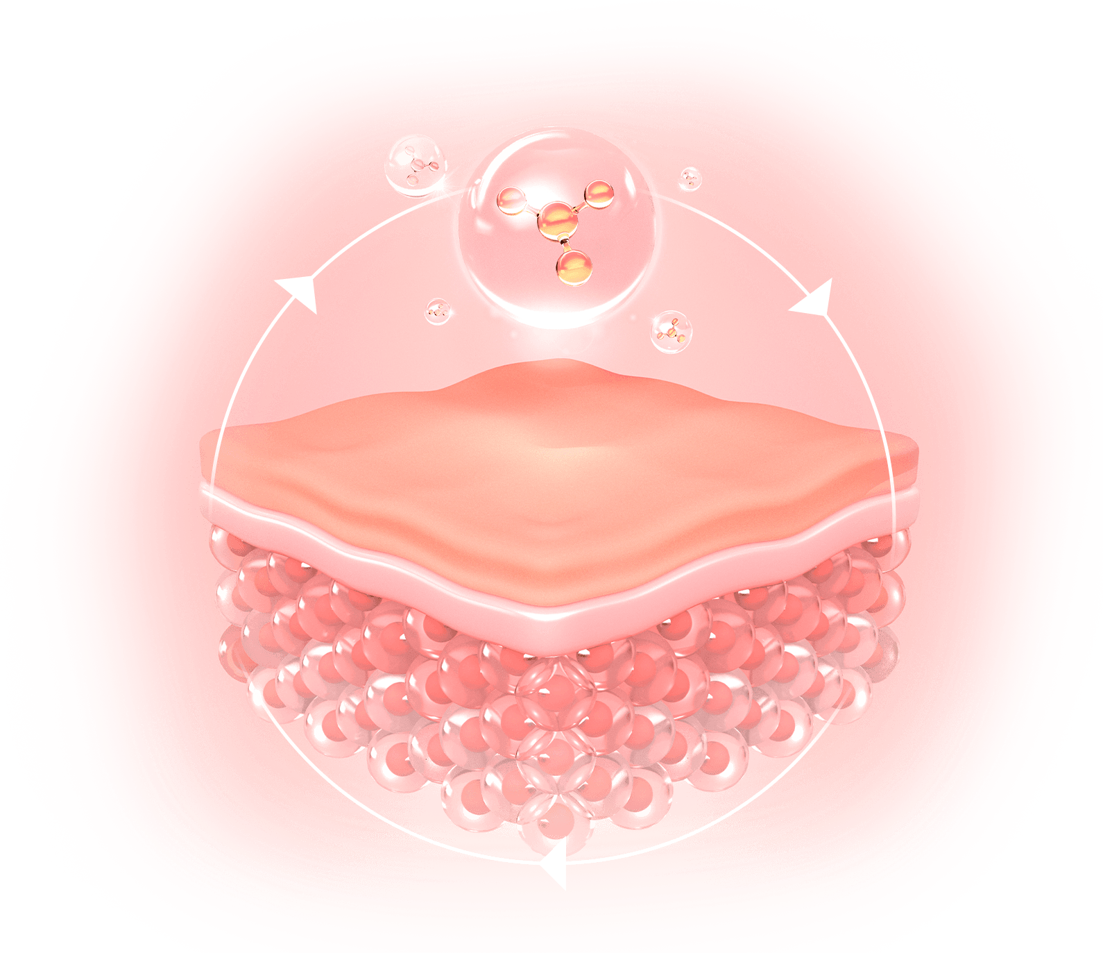 세포 리모델링 , 줄기세포 활성화